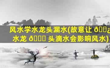 风水学水龙头漏水(故意让 🌿 水龙 🐋 头滴水会影响风水)